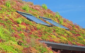 South Hampstead living roof systems